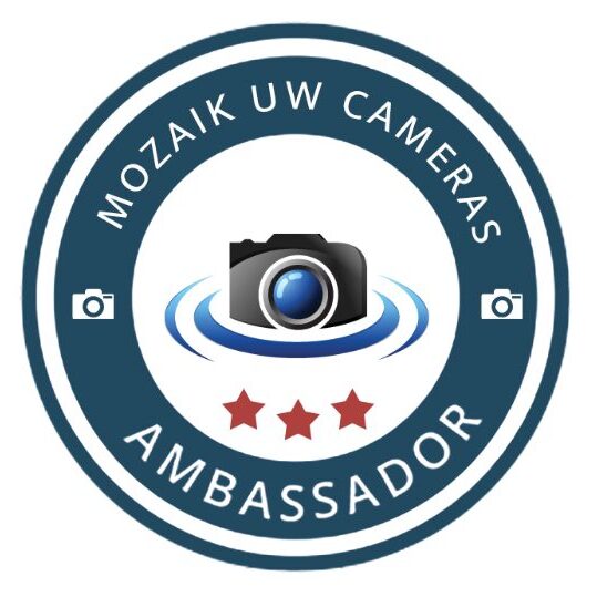 Mozaik UW Camera Ambassador Badge