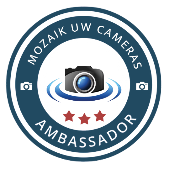 Mozaik UW Camera Ambassador Badge Mozaik UW Camera Ambassador Badge